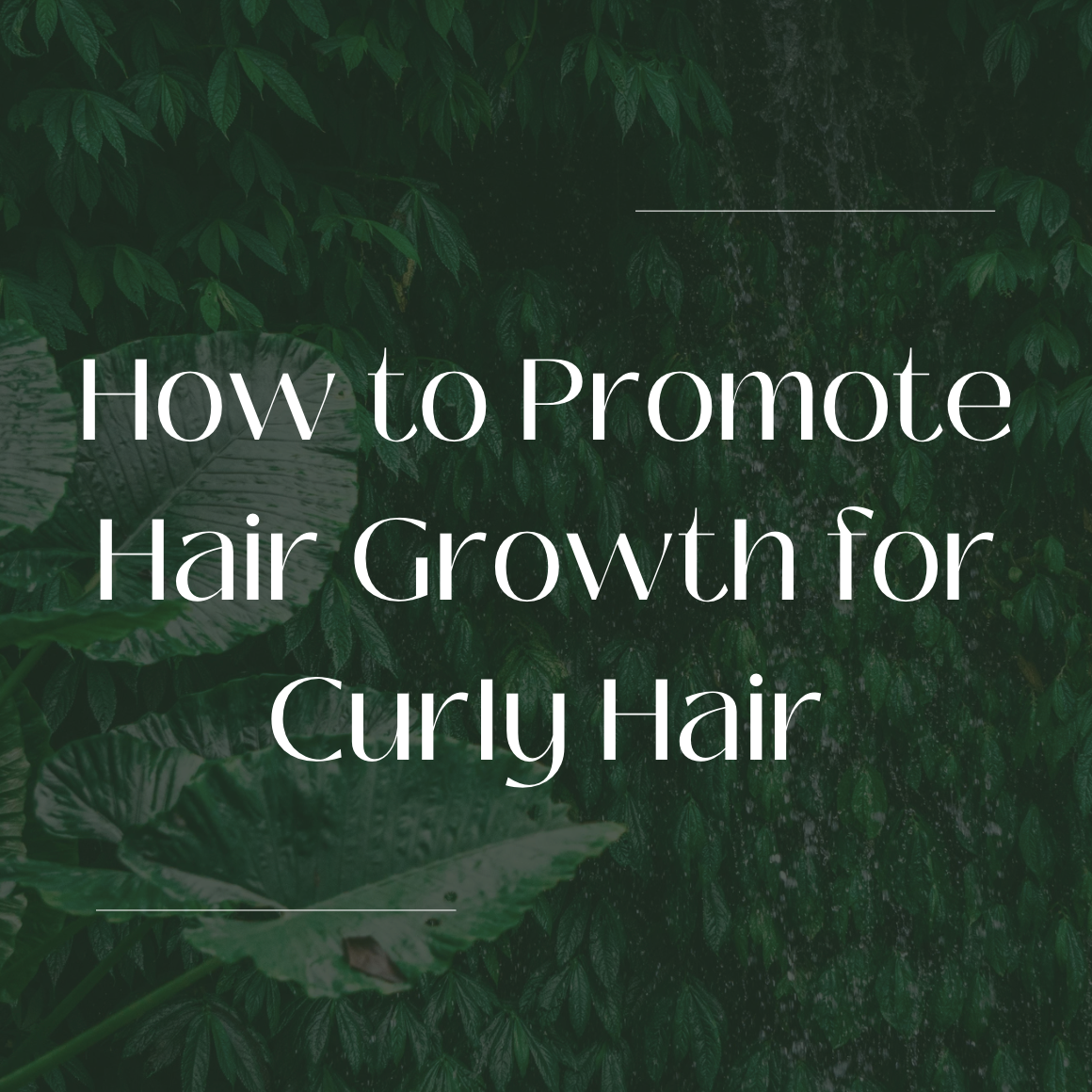How to Promote Hair Growth for Curly Hair Tips and Tricks Alié Moisture